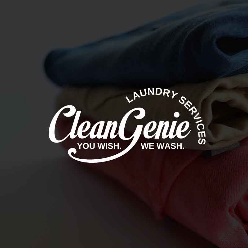 Branding Clean Genie Naming Tagline Logo Design